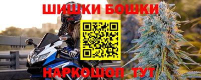 индика Кунгур