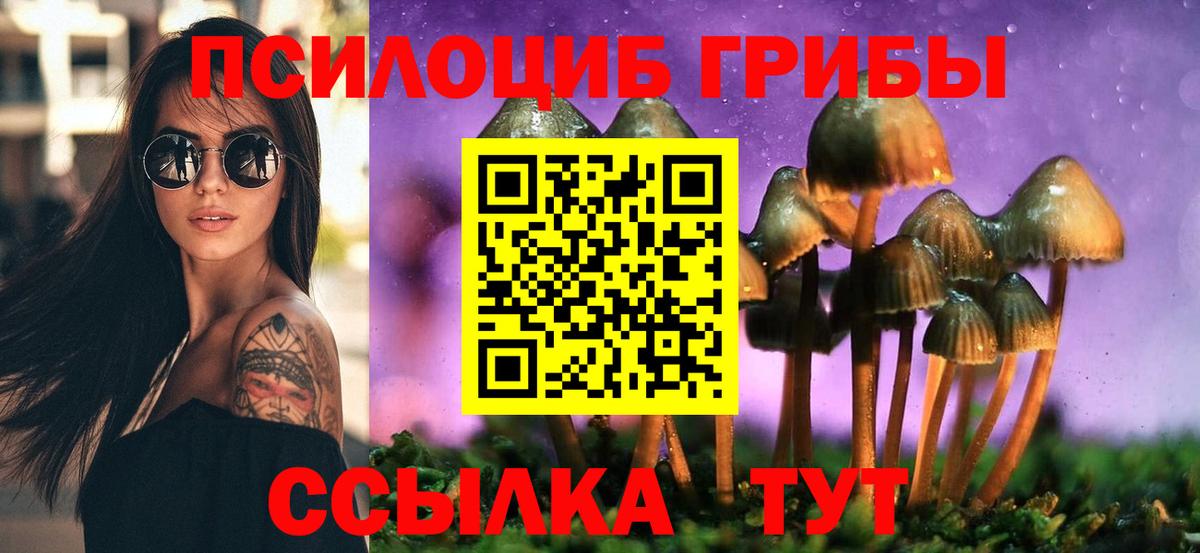 Псилоцибиновые грибы прущие грибы Дюртюли