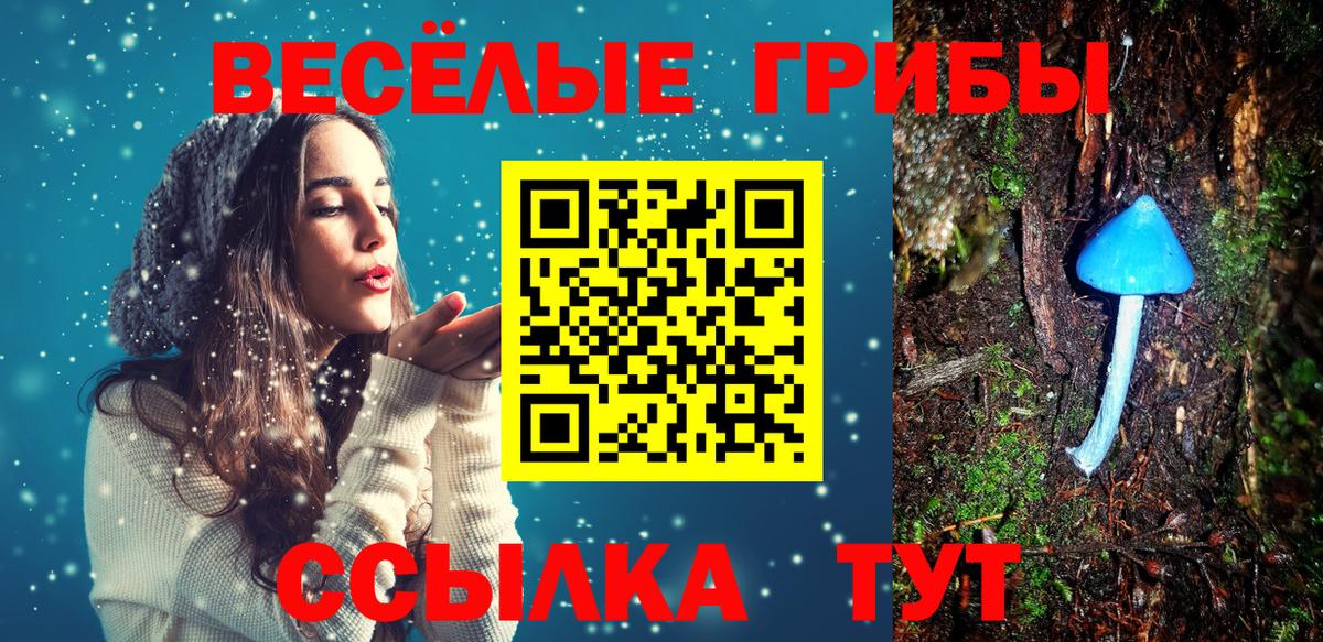 Дюртюли  Галлюциногенные грибы Cubensis  закладки  Вход с VPN 